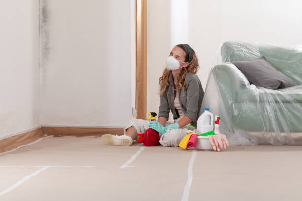 Reliable Mold Remediation contractor in Sparta, NC by Cheap Mold Removal